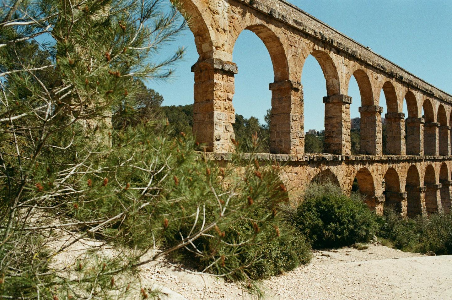 Акведук Pont del Diable в сосновом лесу
